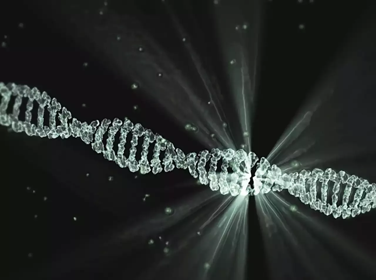 Rosalind Franklin and Her Contribution to DNA Research