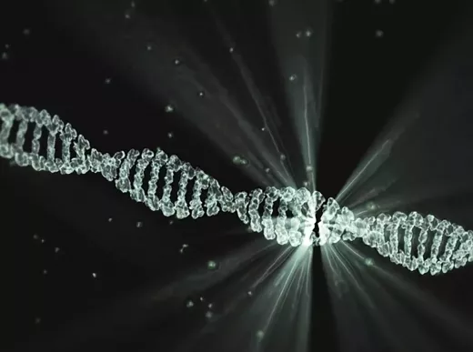 Rosalind Franklin and Her Contribution to DNA Research