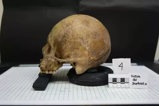 The Study of Anthropology in Science